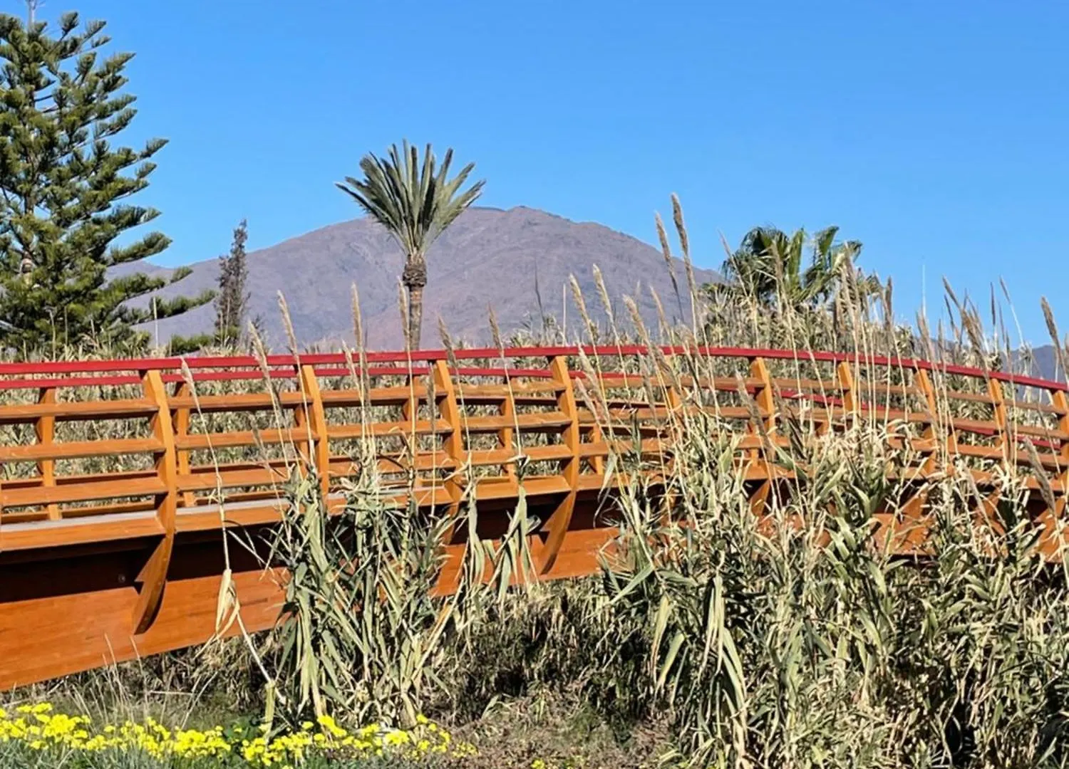 La Perla Del Mar Apartment Estepona
